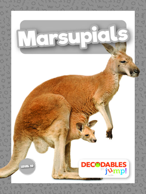 Cover image for Marsupials